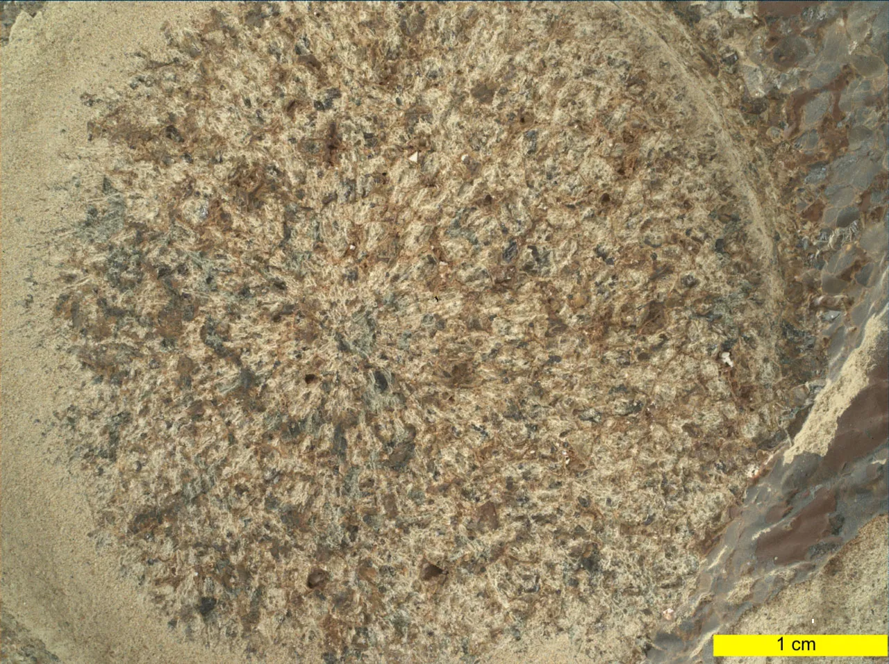 Blanco geológico analizado por el espectrómetro Raman SHERLOC en el cráter Jezero de Marte
